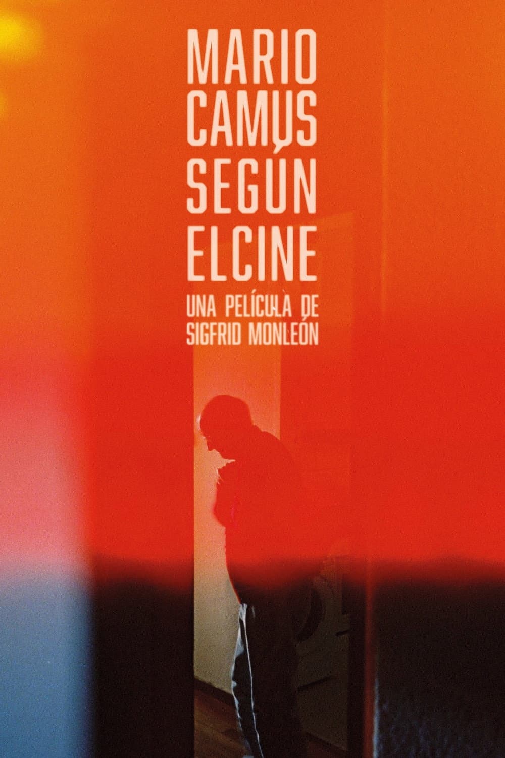 Mario Camus segÃºn el cine