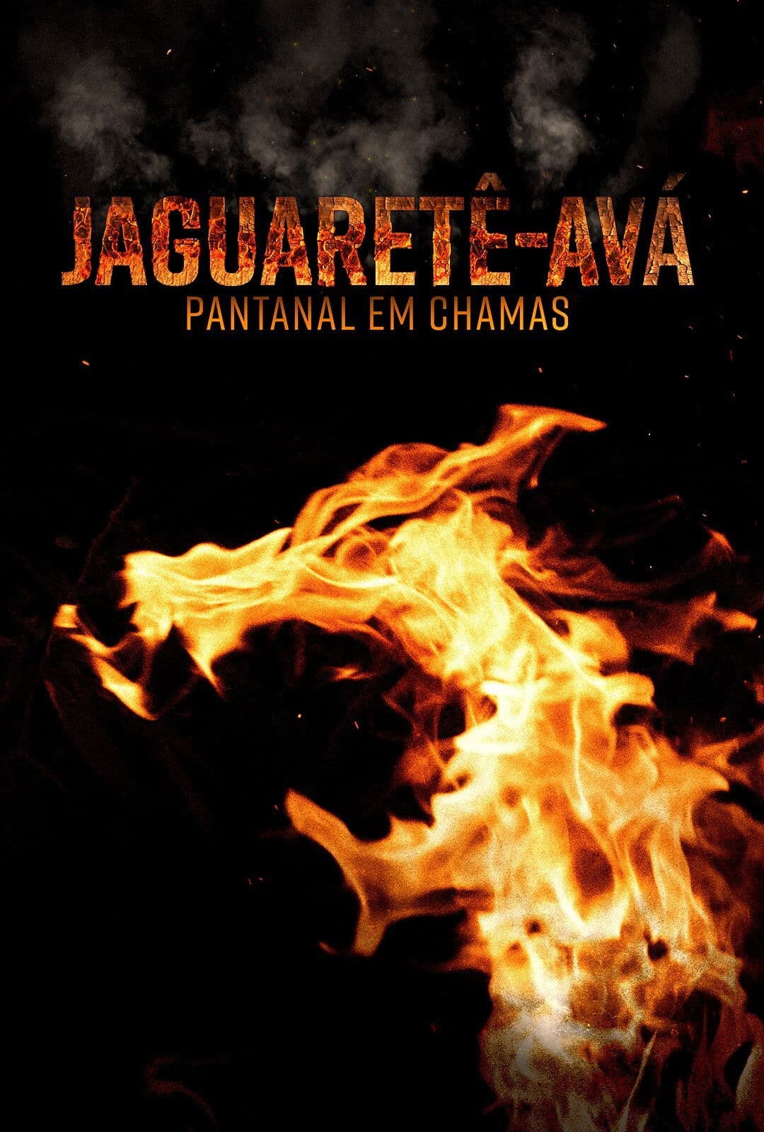 JaguaretÃª-avÃ¡: Pantanal em chamas