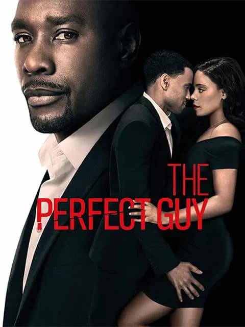 The Perfect Guy
