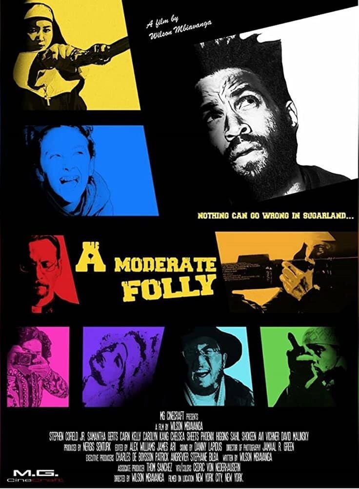 A Moderate Folly