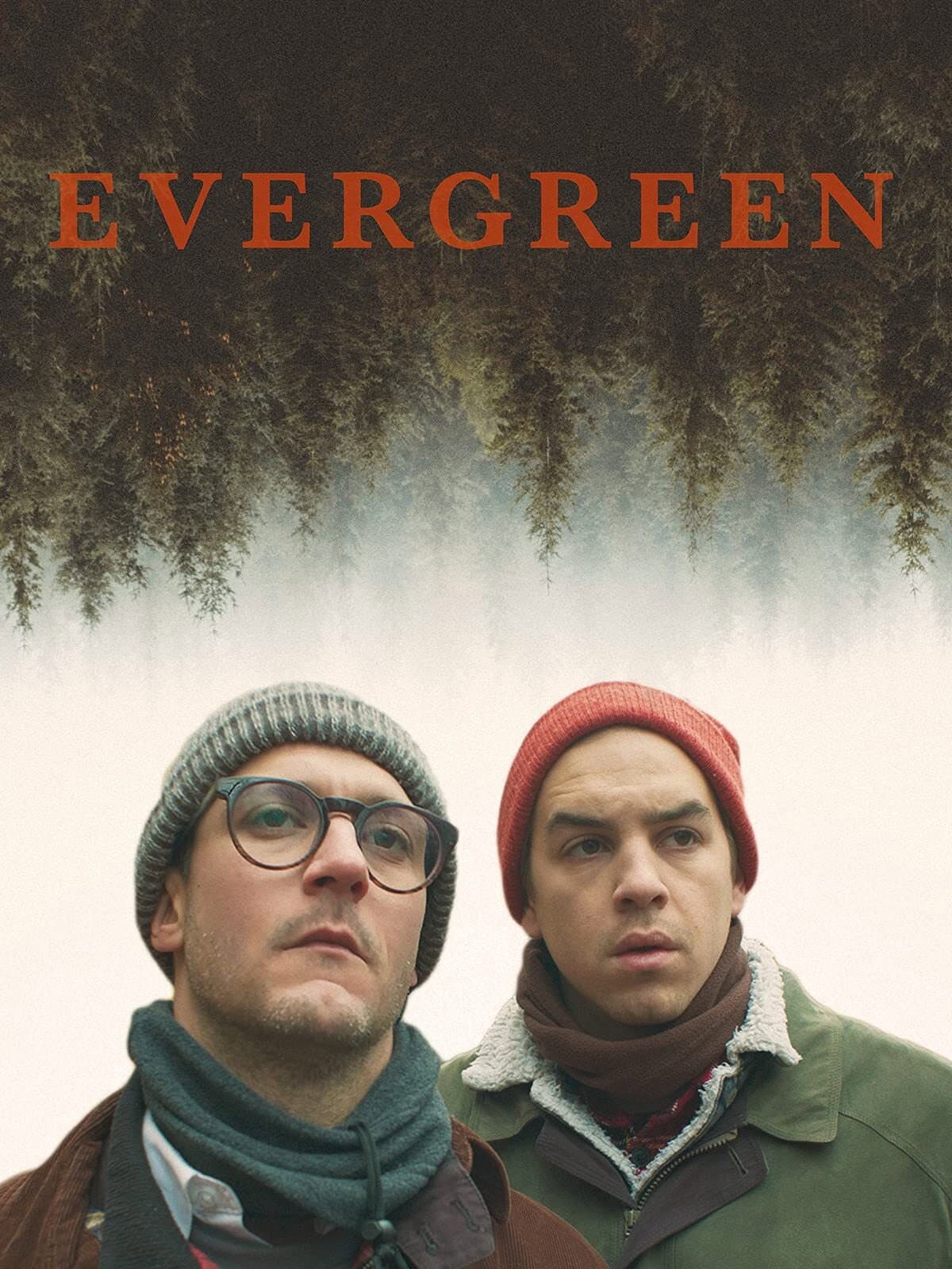 Evergreen
