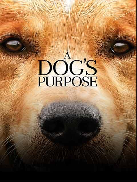 A Dog`s Purpose