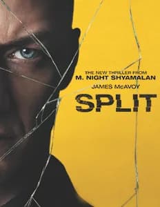 SPLIT Paid Preview