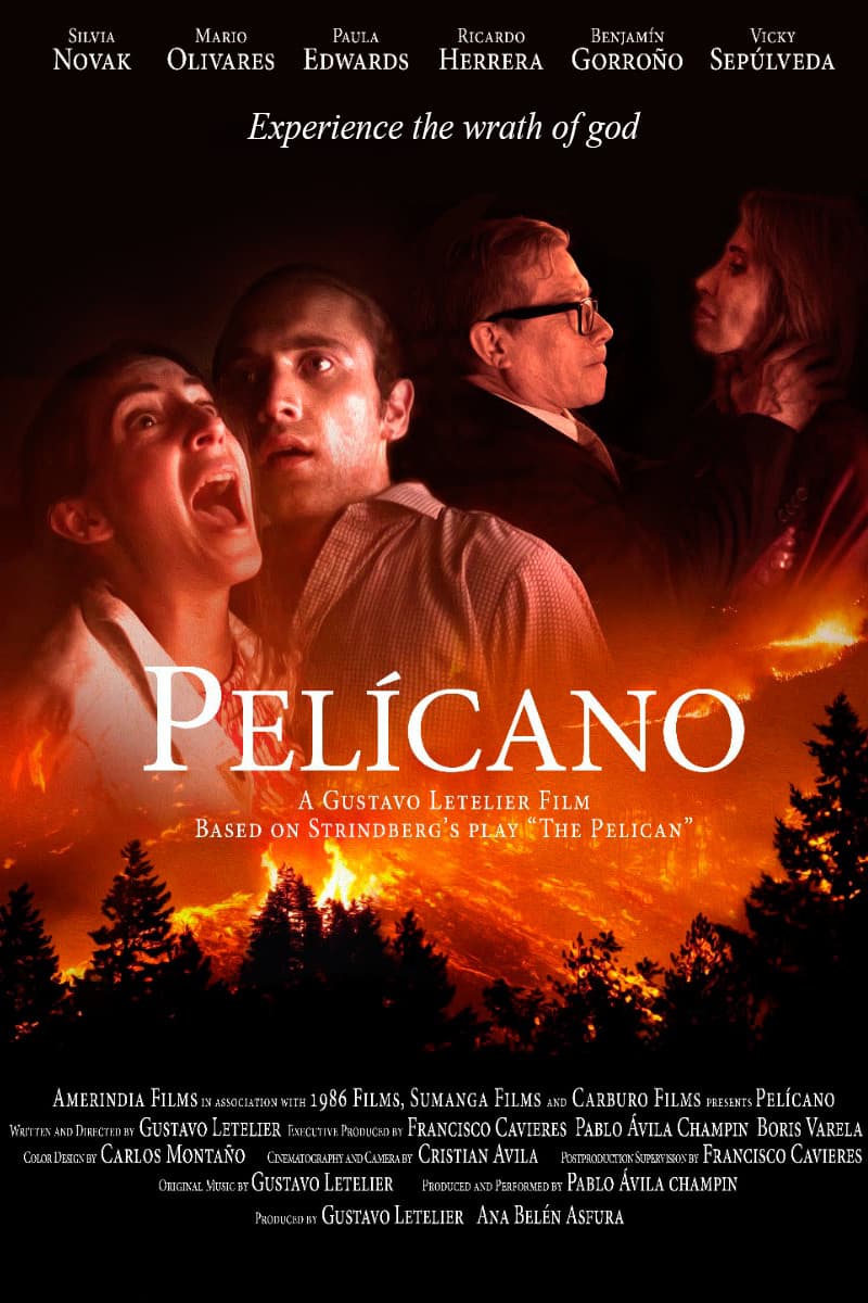 PelÃ­cano