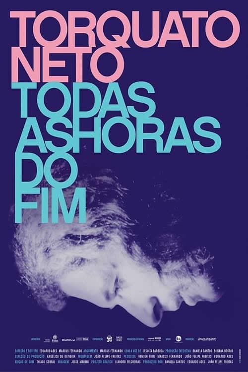 Torquato Neto - Todas as horas do fim