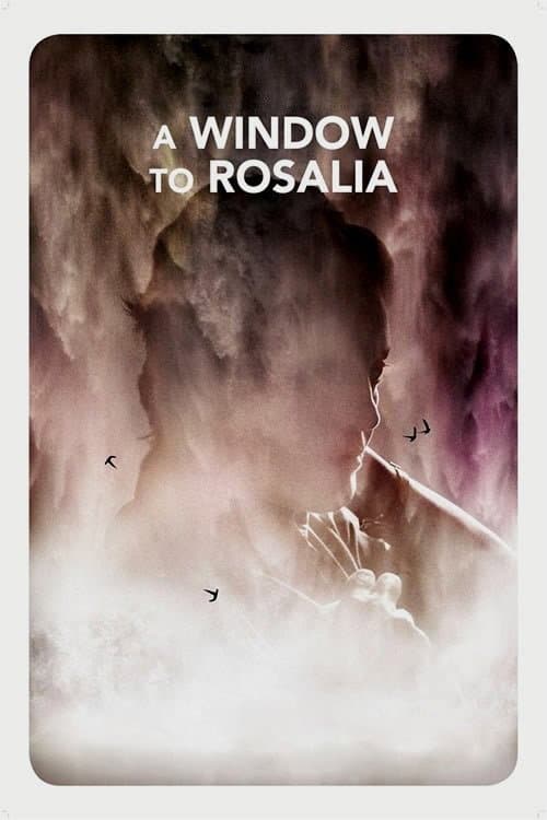 A Window to RosÃ¡lia