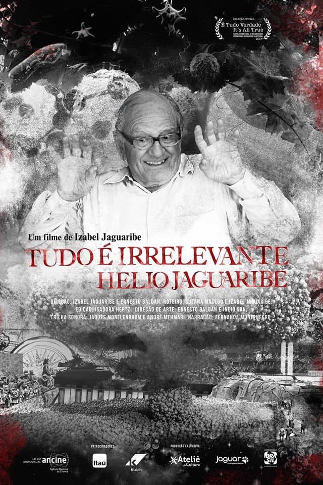 Tudo Ã‰ Irrelevante. Helio Jaguaribe