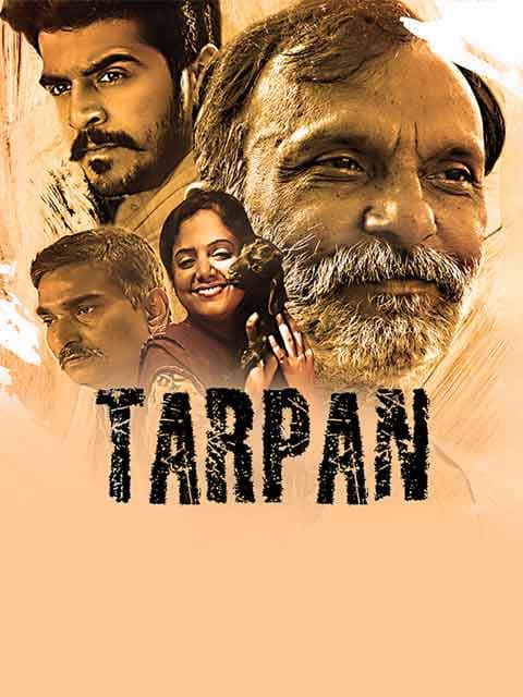 Tarpan