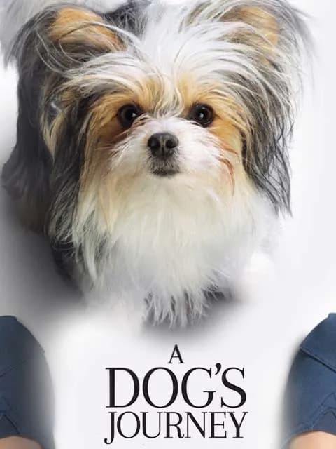 A Dog`s Journey
