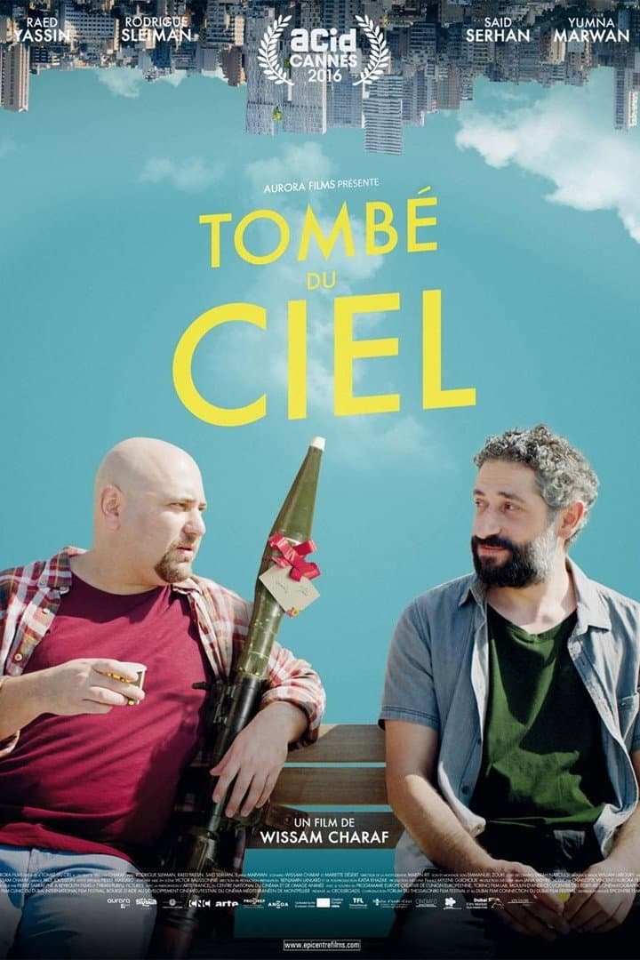 TombÃ© du ciel