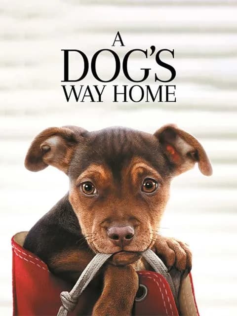 A Dog`s Way Home