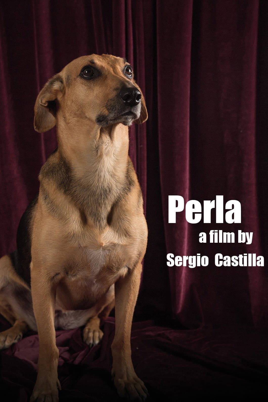 Perla: La PelÃ­cula
