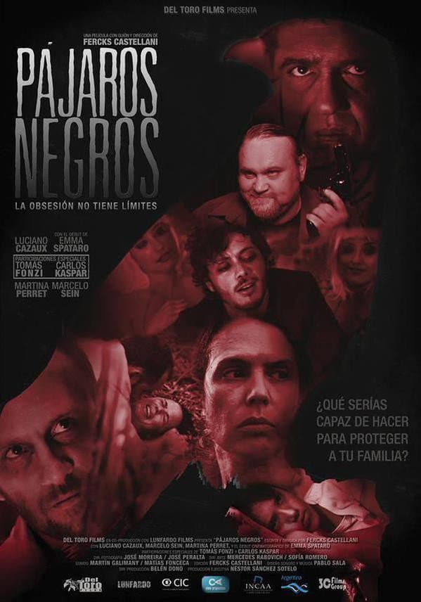 PÃ¡jaros Negros