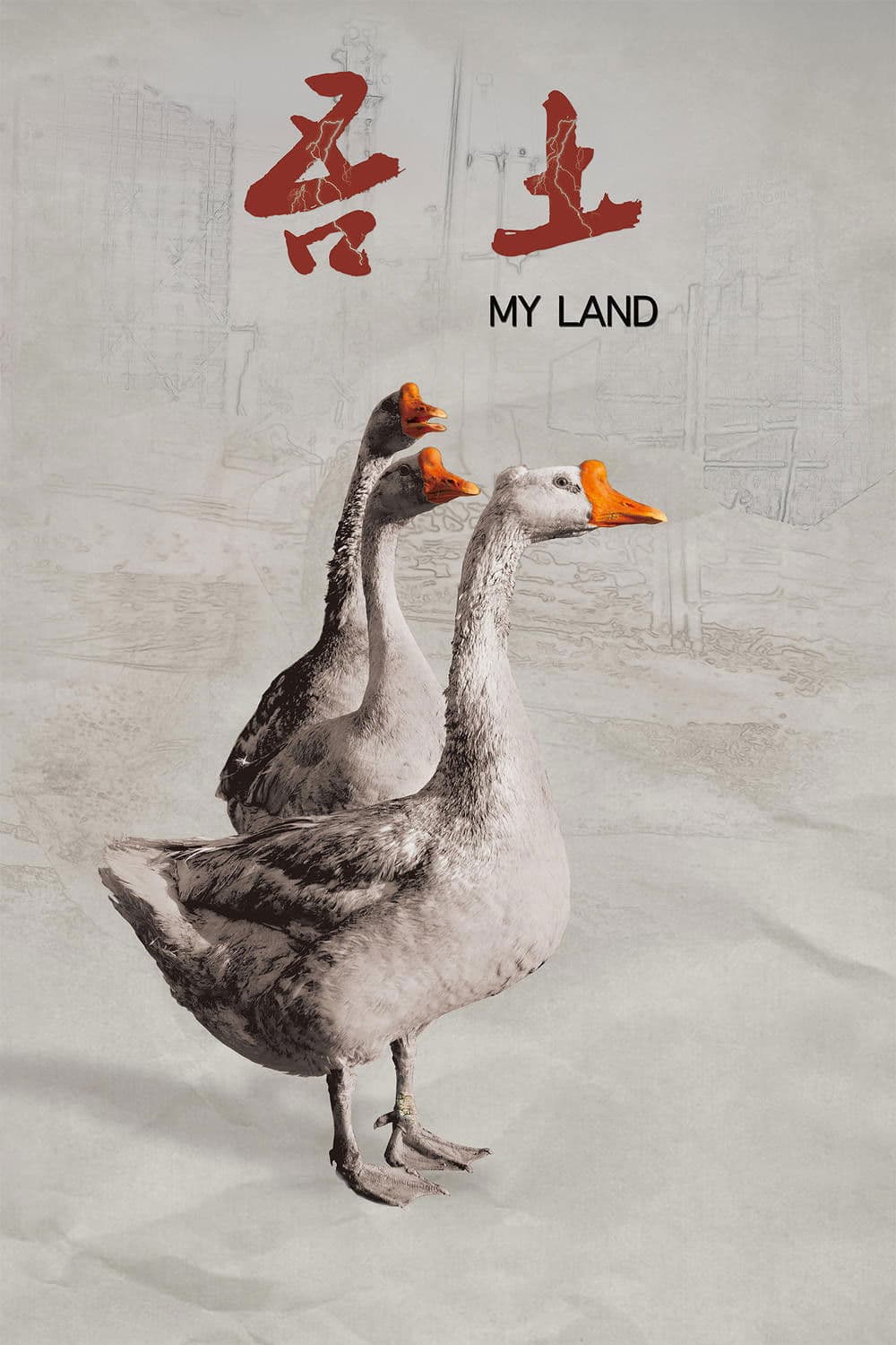 Wu Tu: My land