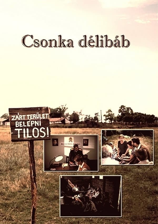 Csonka dÃ©libÃ¡b