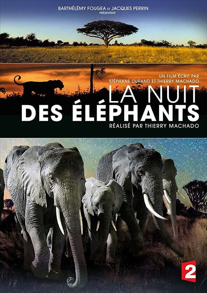 La nuit des Ã©lÃ©phants