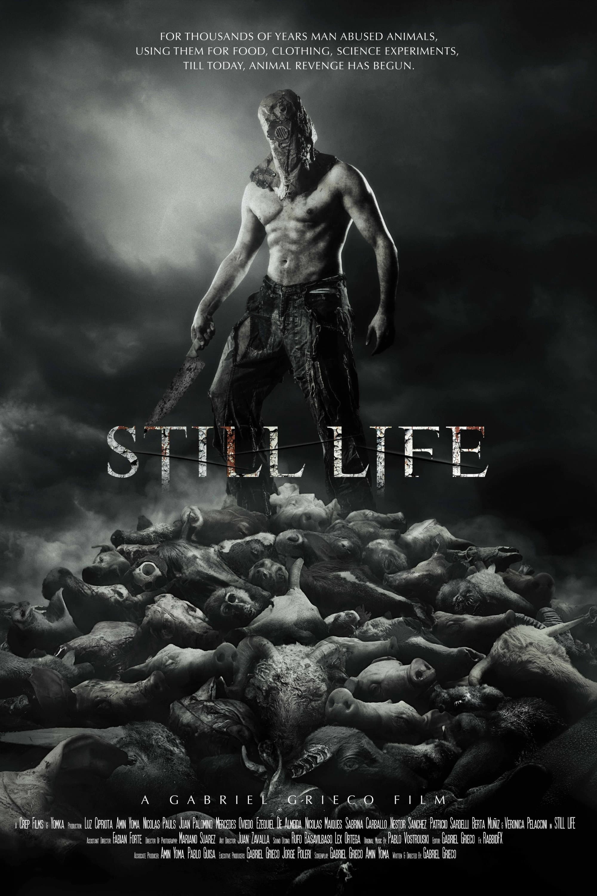 Still Life