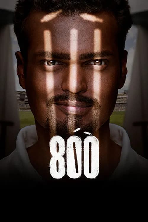 800