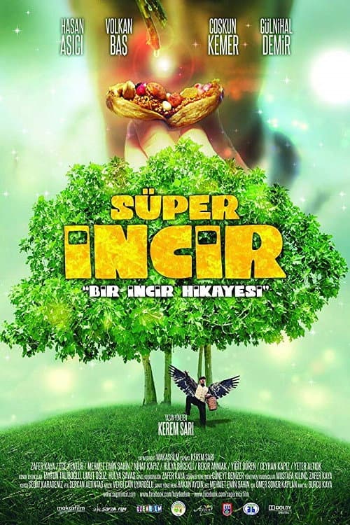 SÃ¼per Incir