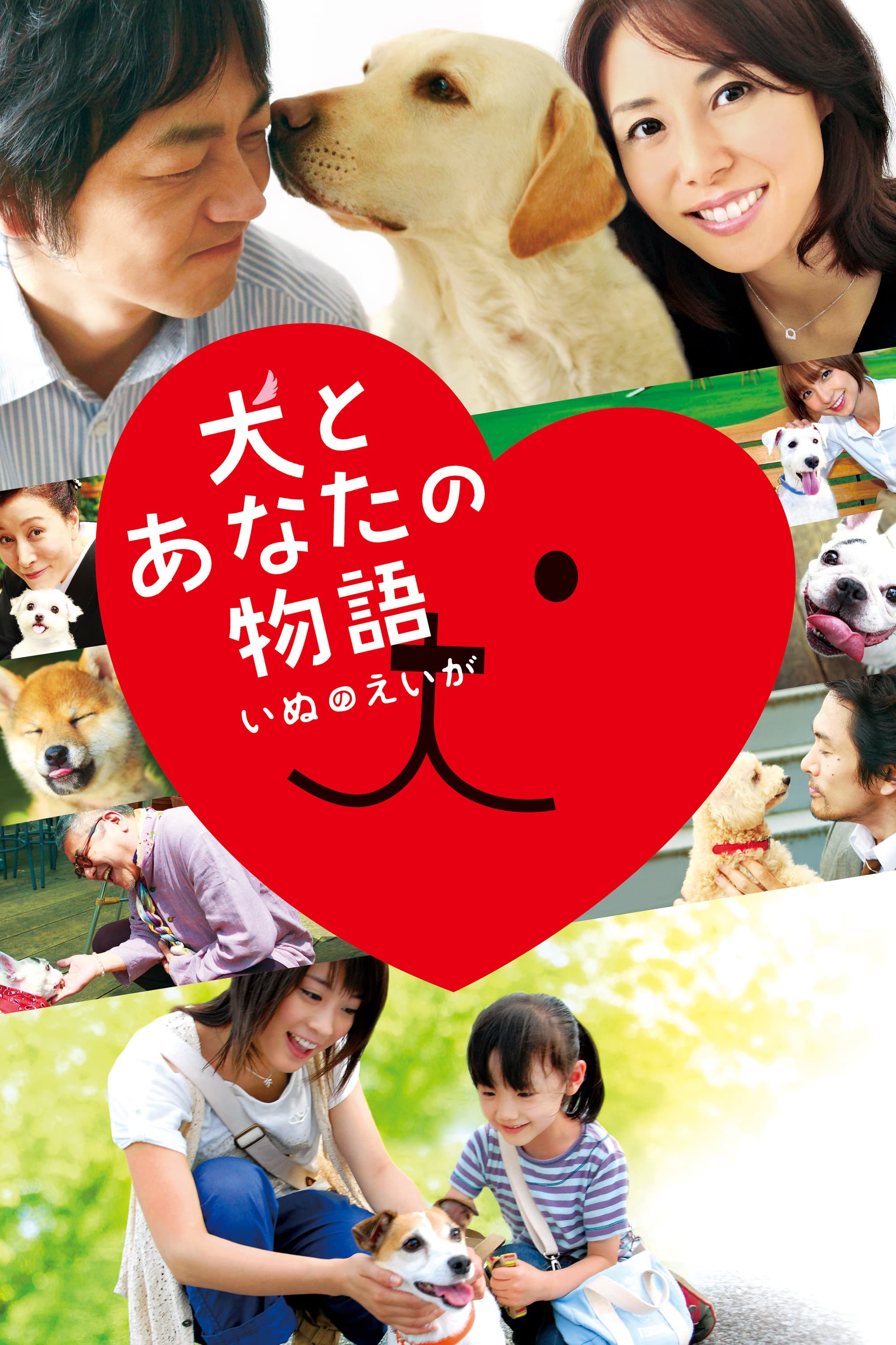 Happy Together: All About My Dog
