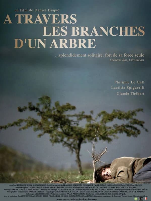 Ã€ travers les branches d'un arbre