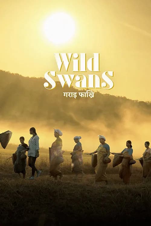 Gorai Phakhri (Wild Swans)