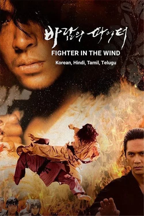 Fighter In The Wind