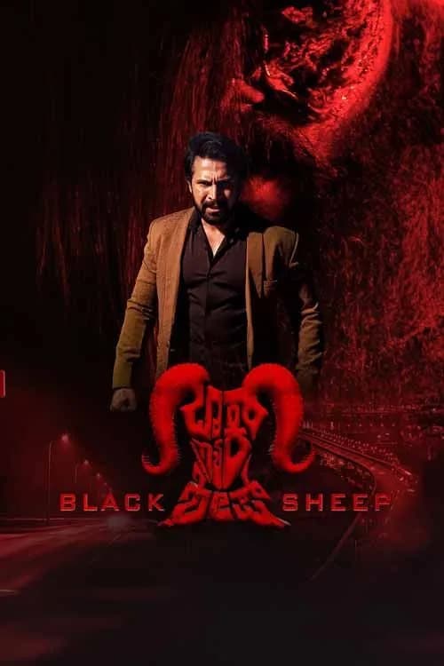 Black Sheep