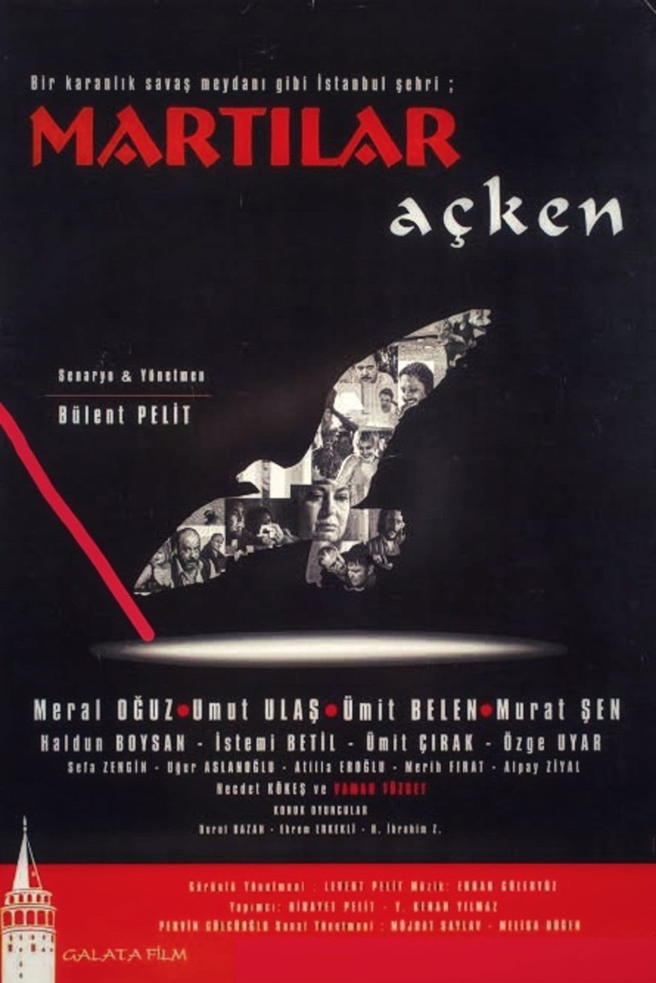 Martilar AÃ§ken