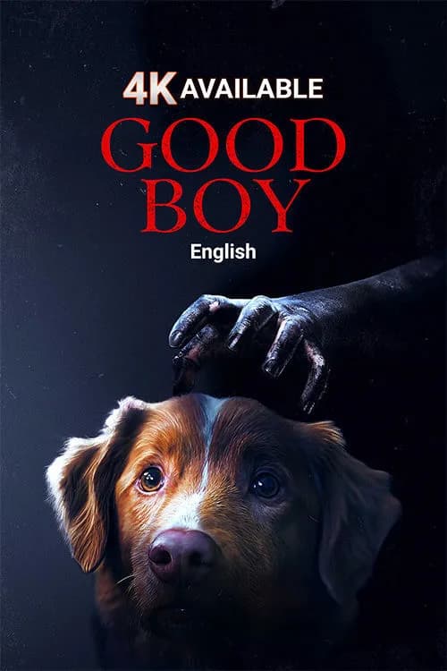 Good Boy