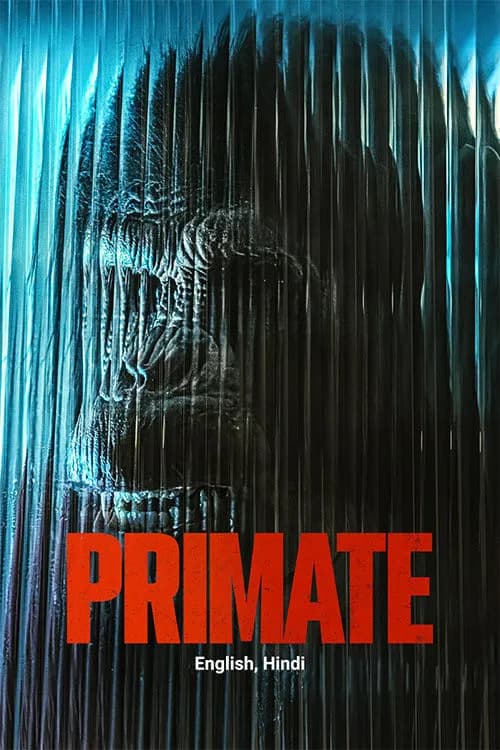 Primate