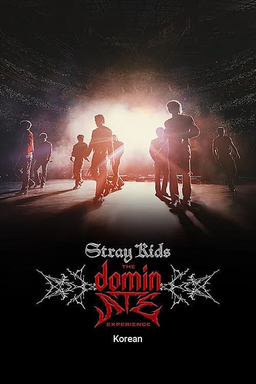 Stray Kids: The dominATE Experience