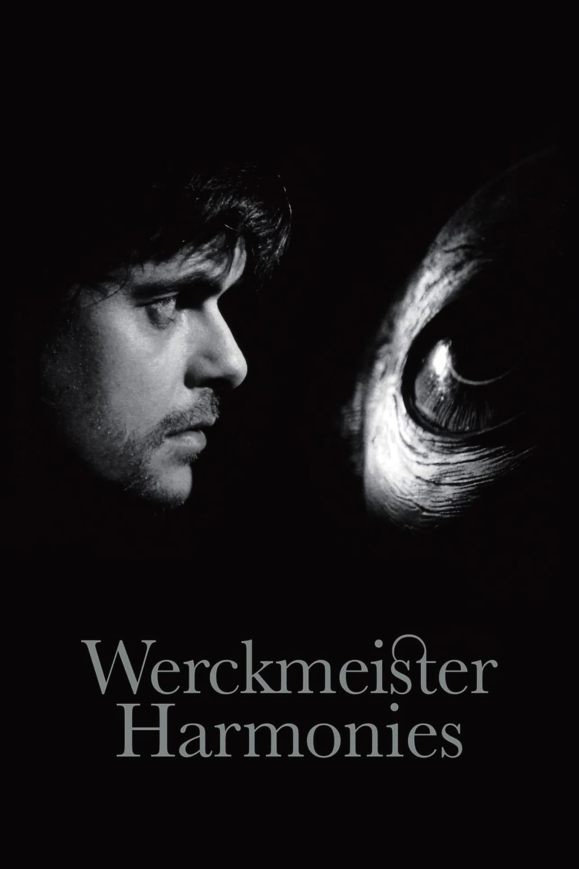 Werckmeister Harmonies