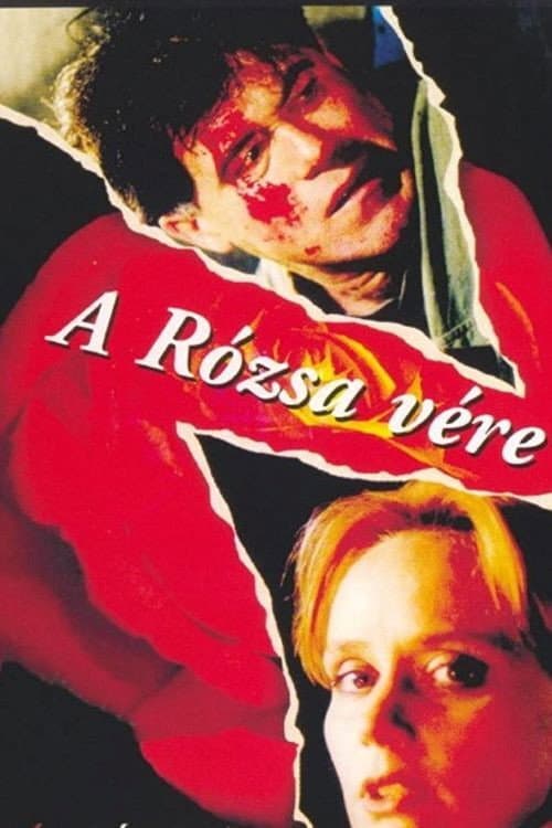 A rÃ³zsa vÃ©re