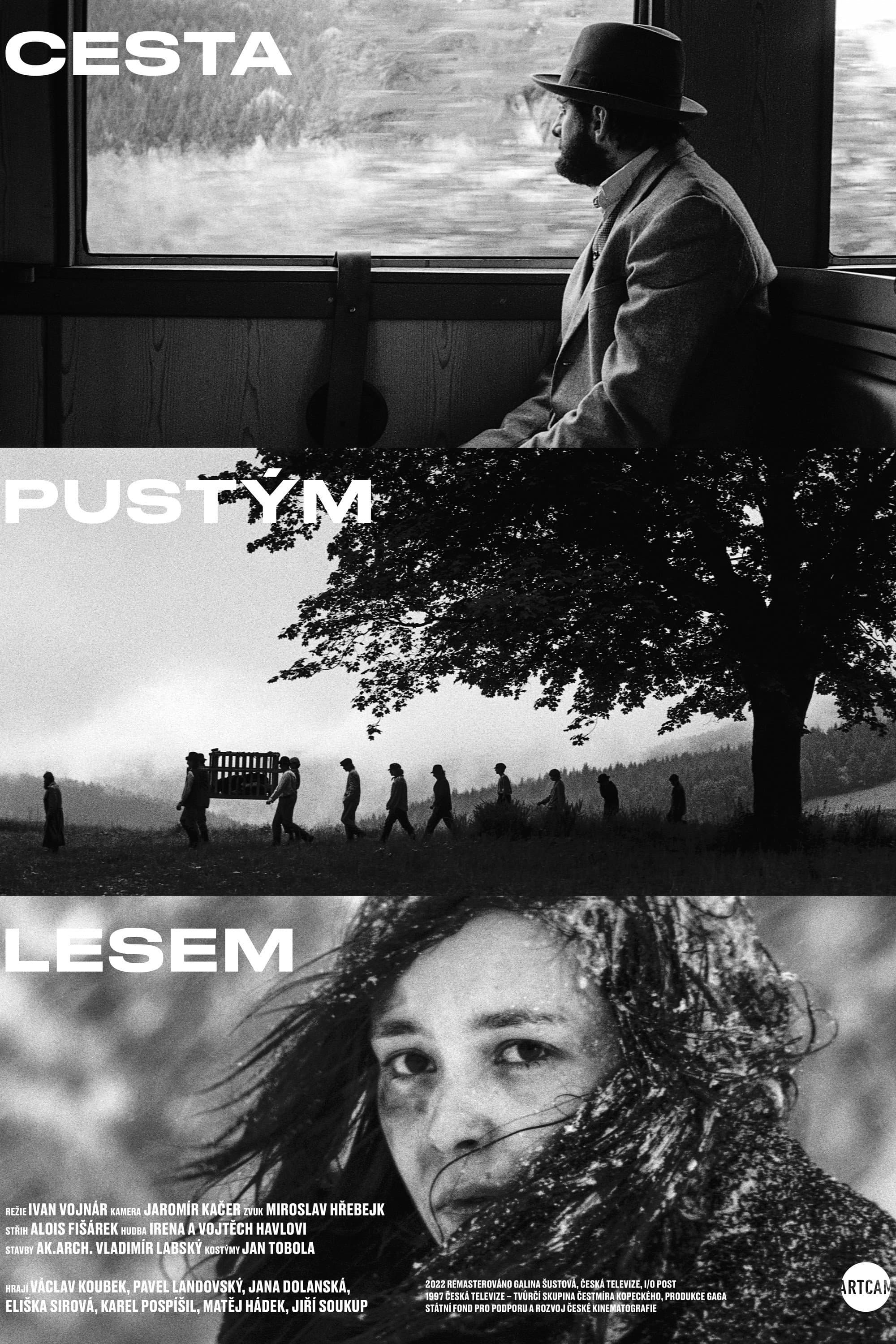 Cesta pustÃ½m lesem