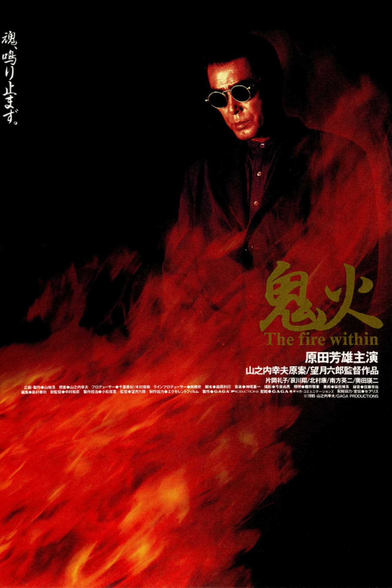 Onibi
