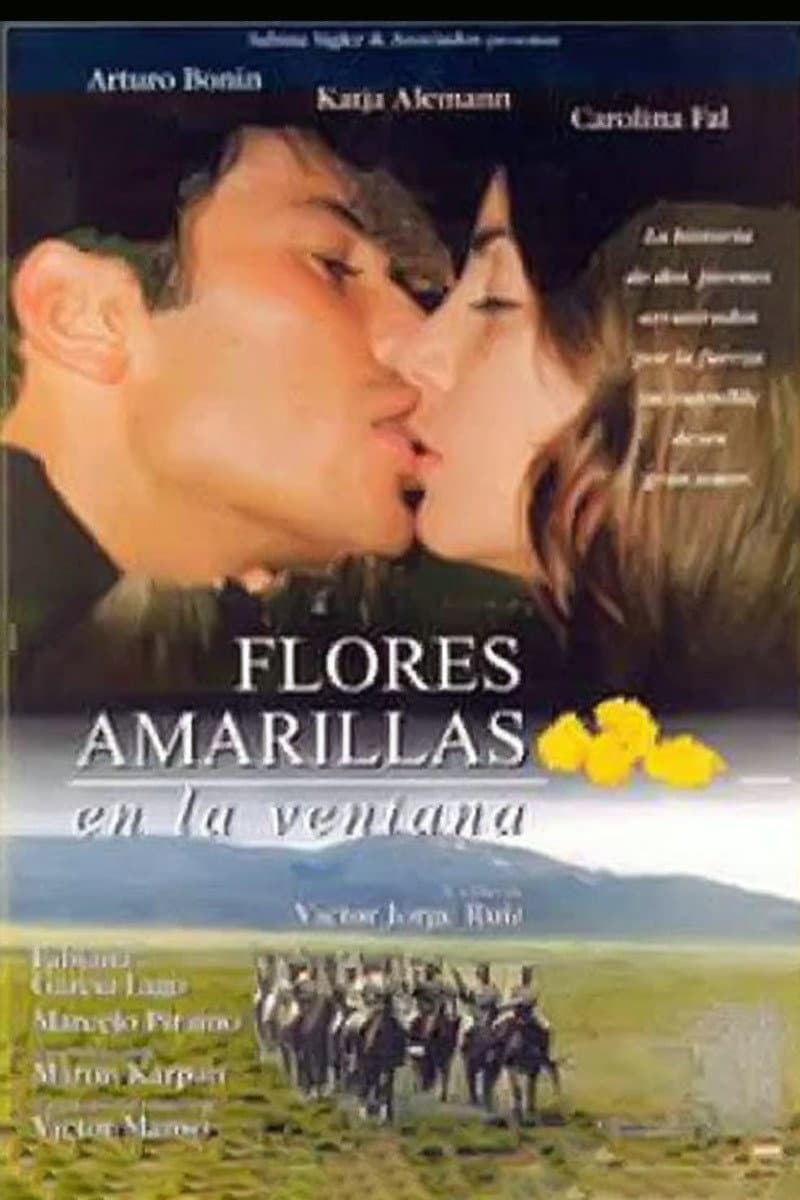 Yellow Flowers in the Window