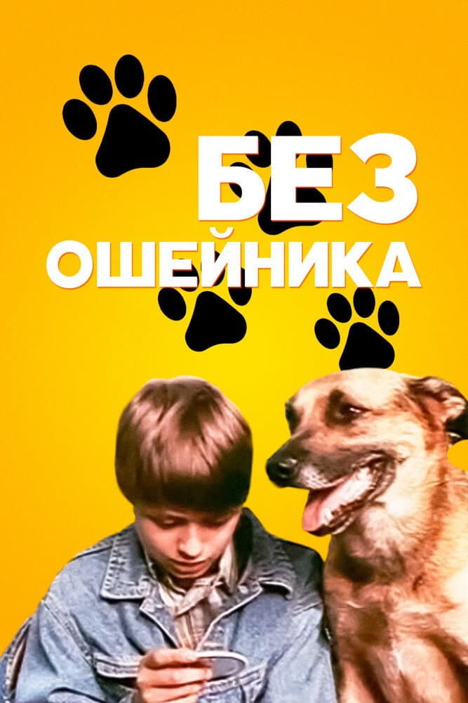 Bez osheynika