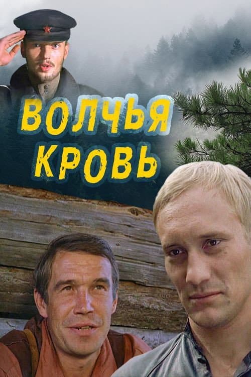Volchya krov
