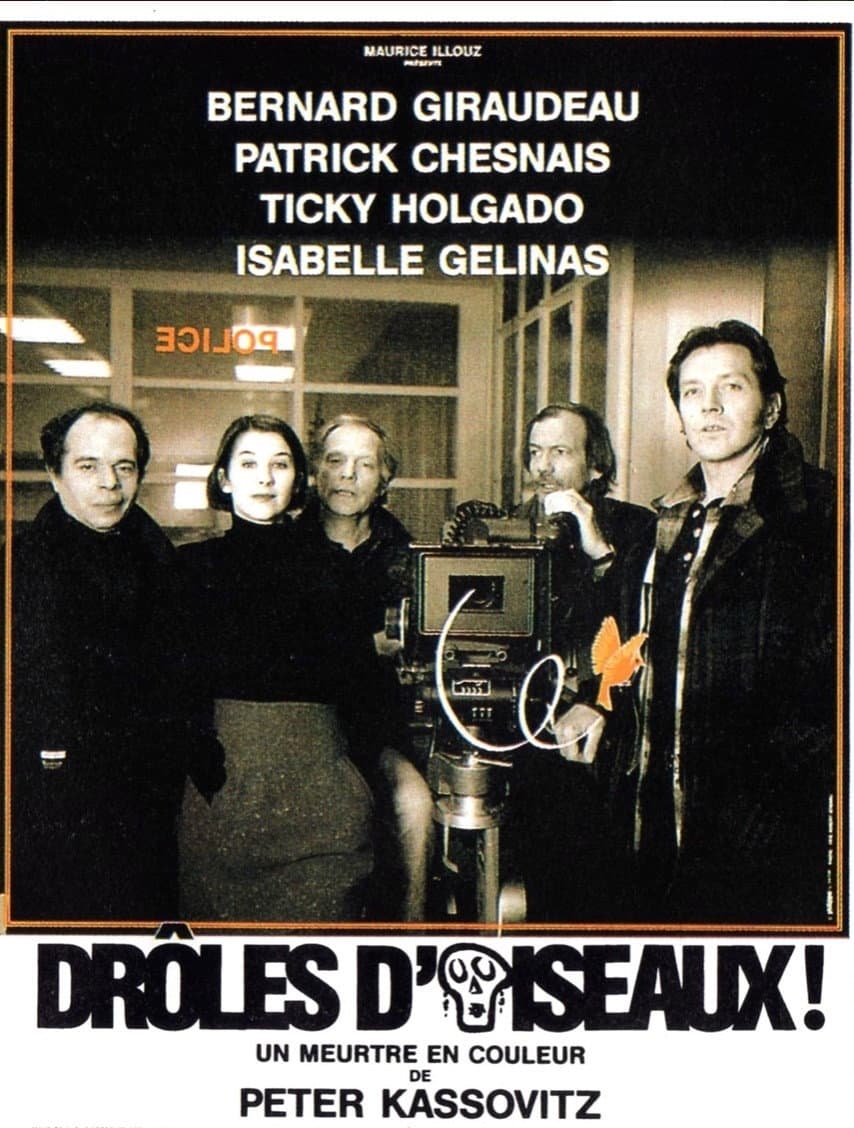 DrÃ´les d'oiseaux