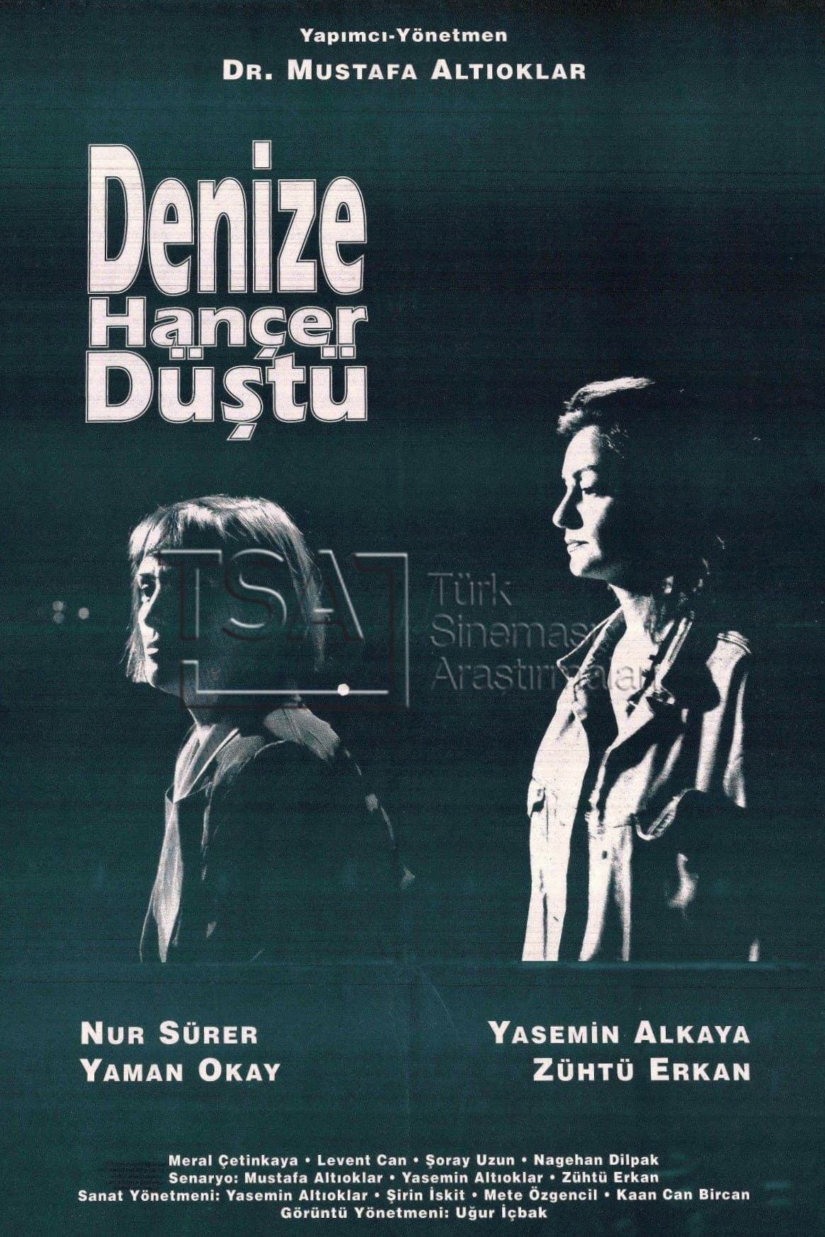 Denize HanÃ§er DÃ¼stÃ¼
