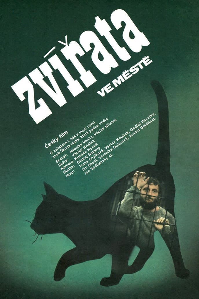 ZvÃ­rata ve meste