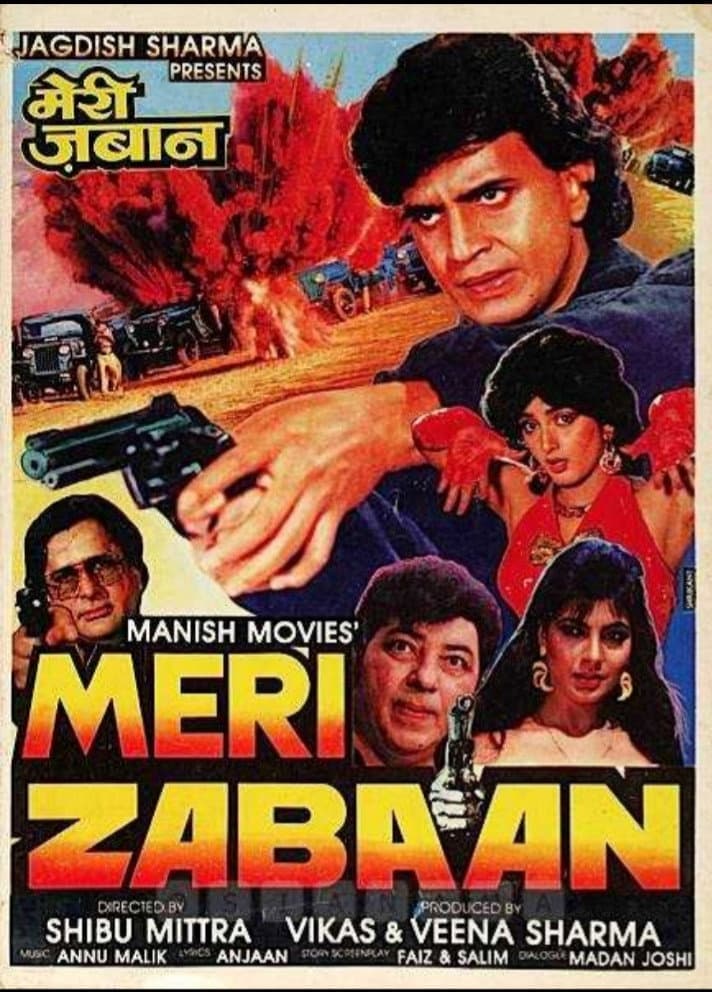 Meri Zabaan