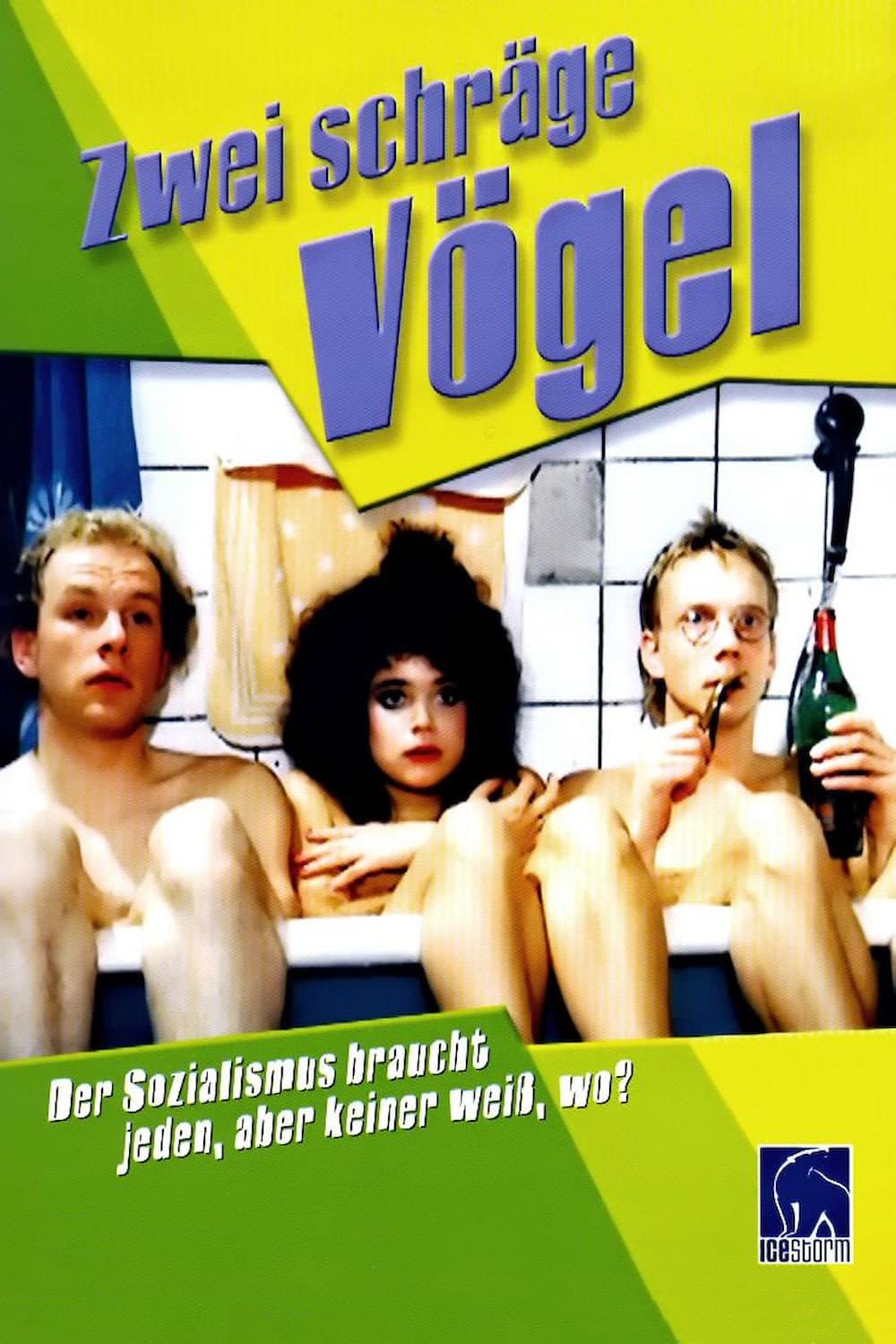 Zwei schrÃ¤ge VÃ¶gel