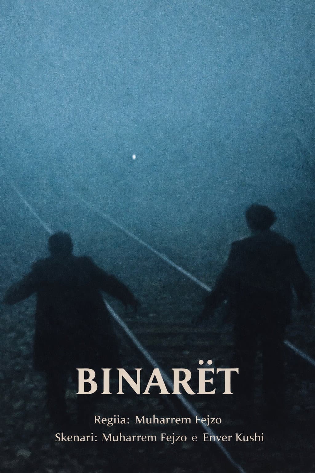 BinarÃ«t