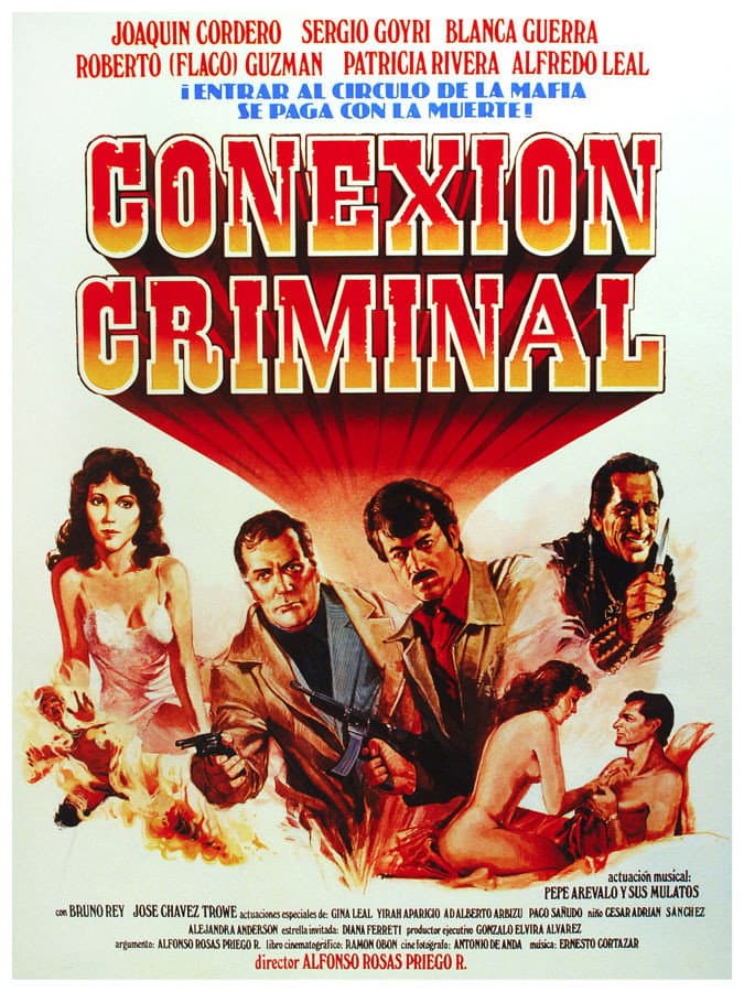 ConexiÃ³n criminal