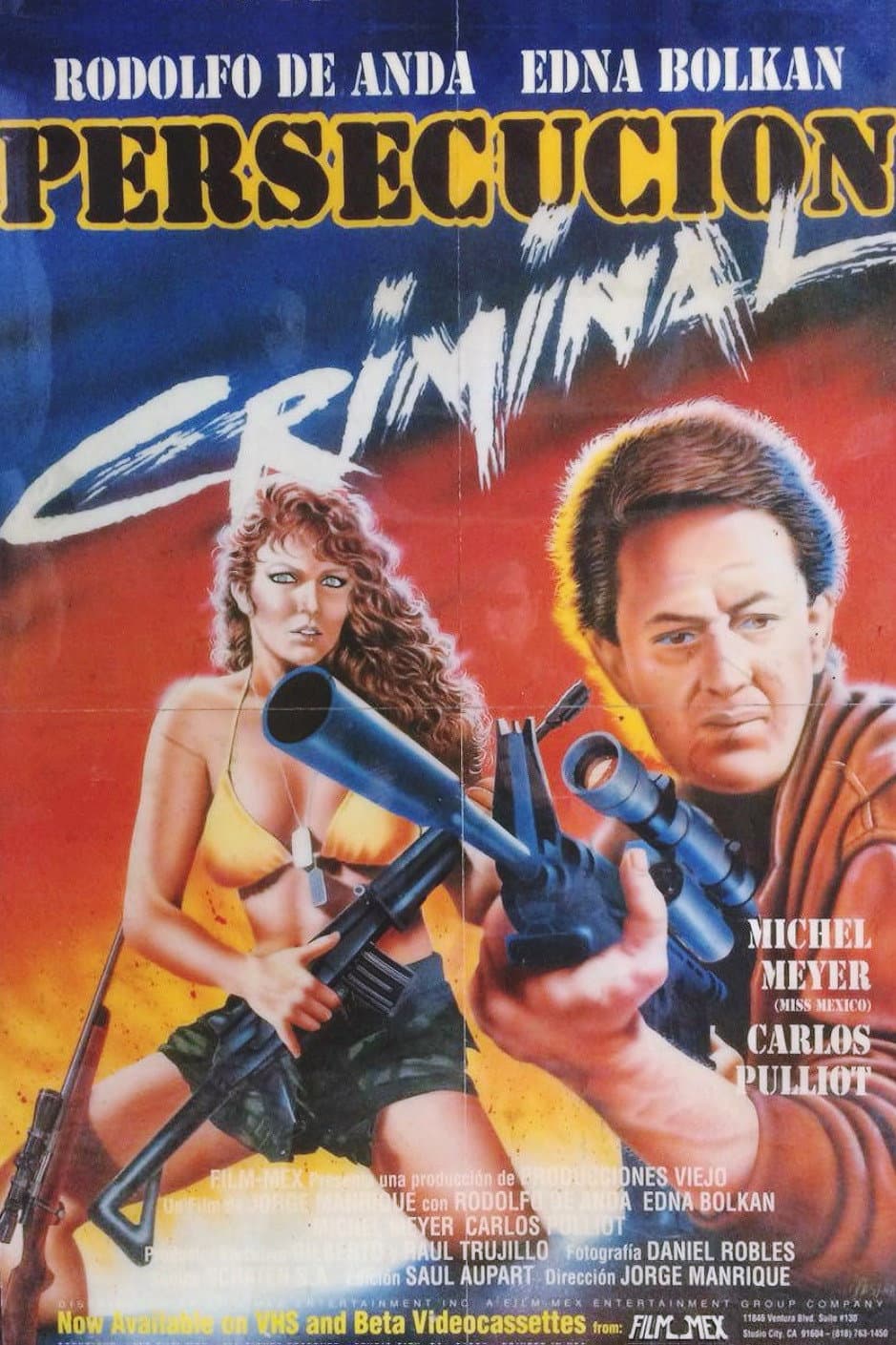 PersecuciÃ³n criminal