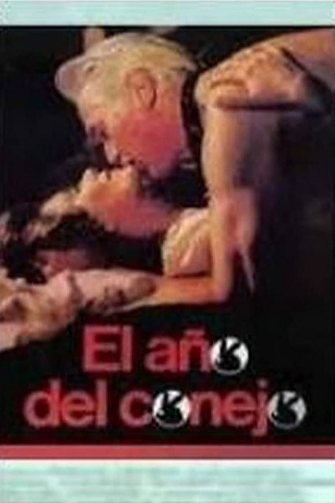 El aÃ±o del conejo