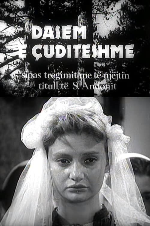 Dasem e Ã§uditÃ«shme