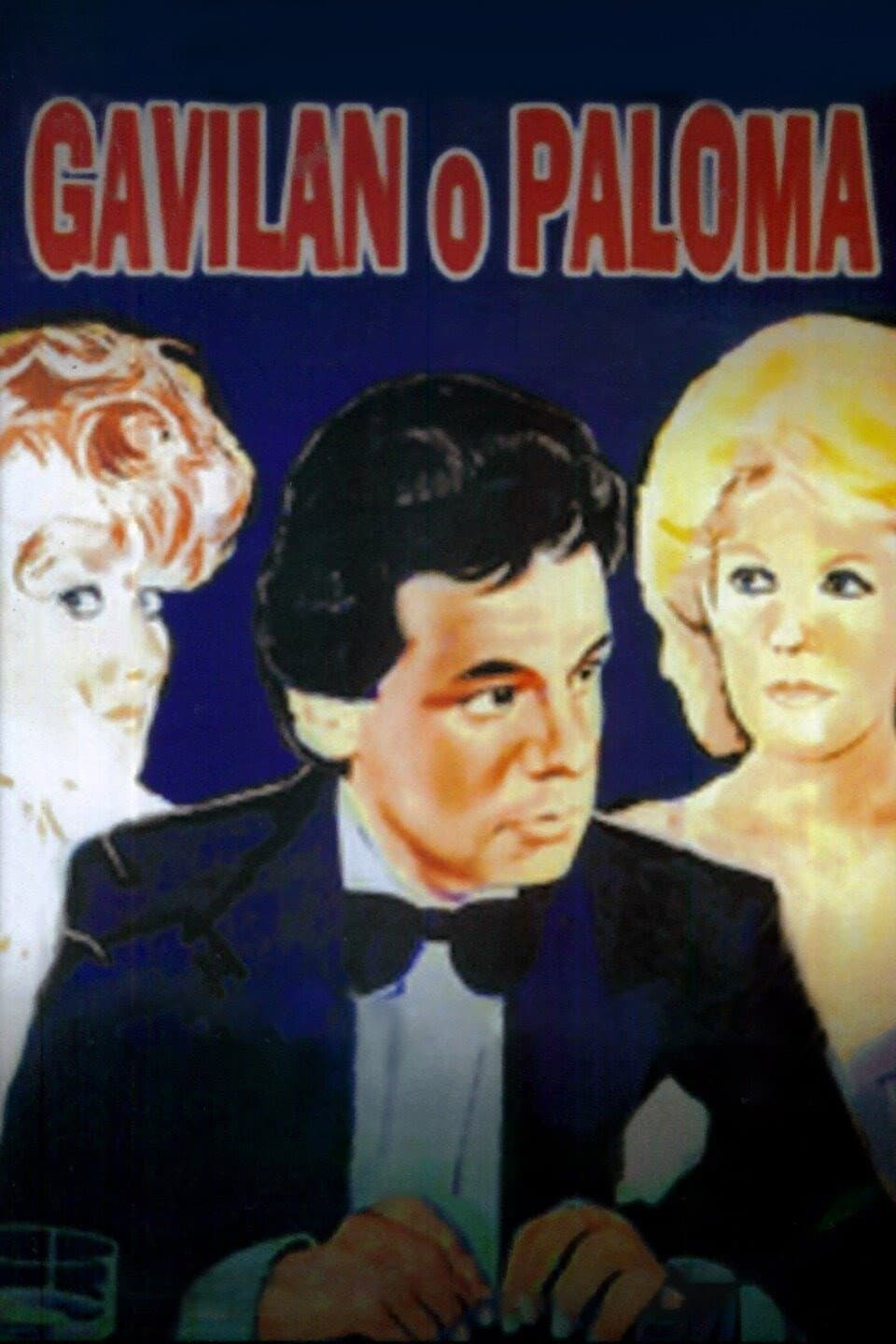 GavilÃ¡n o paloma